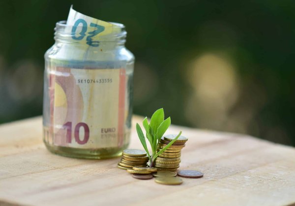 bons plans cuisine : astuces pour profiter des réductions sur les produits bio